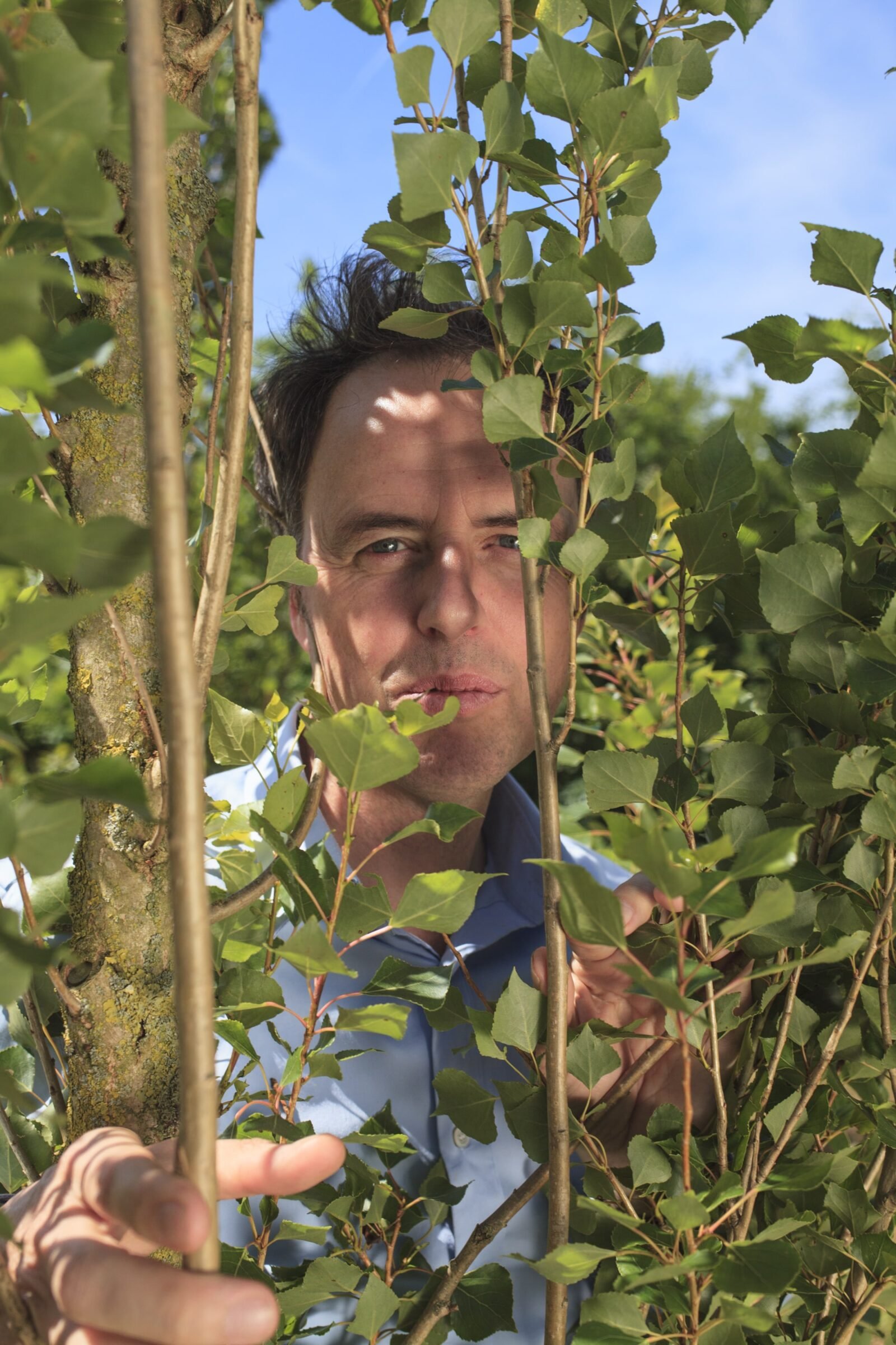 Adriaan Geuze