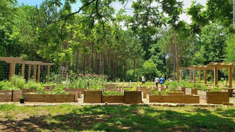Atlanta food forest