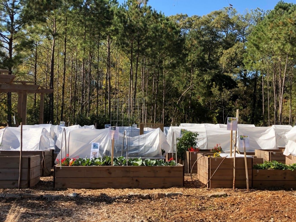 Atlanta food forest