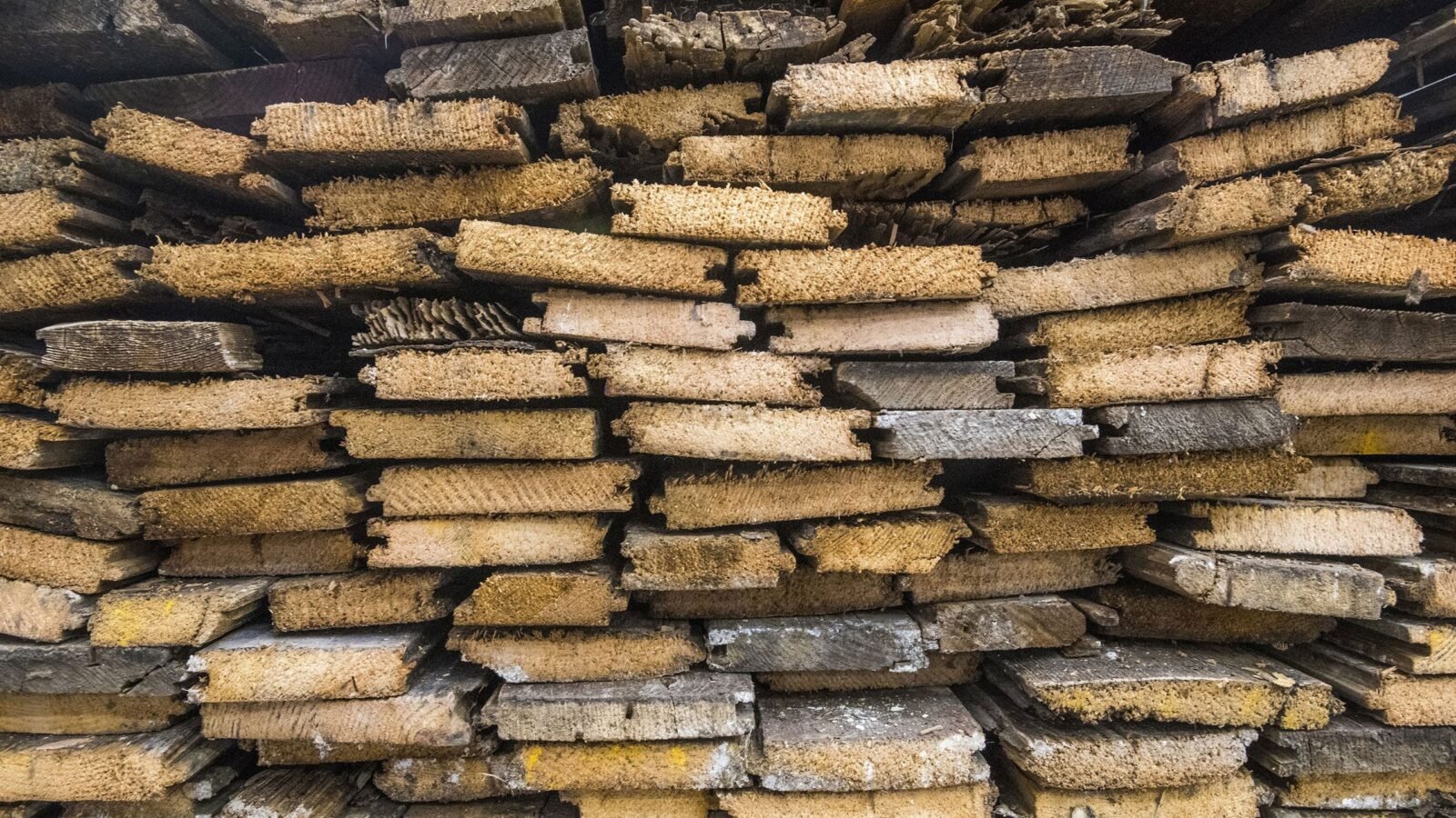 Baltimore Wood Project