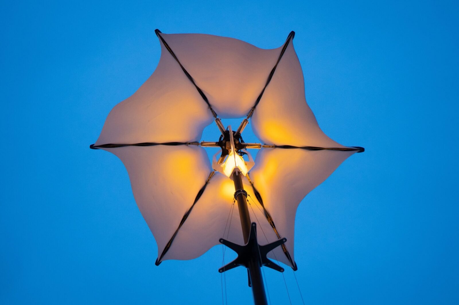 Bloomlight