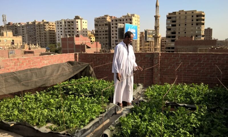 Cairo