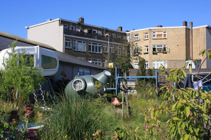 Culture Campsite Rotterdam