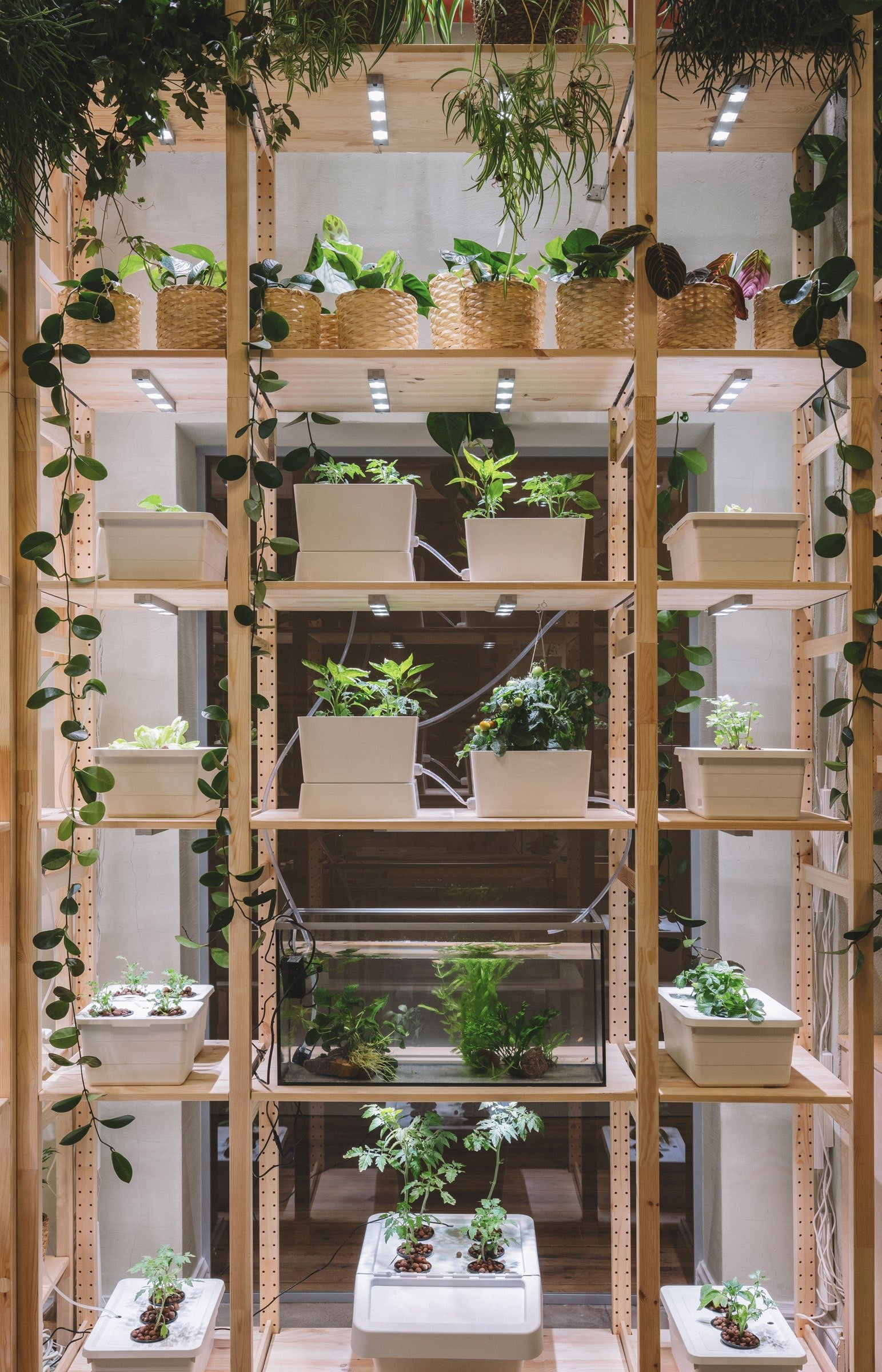IKEA Home of Tomorrow