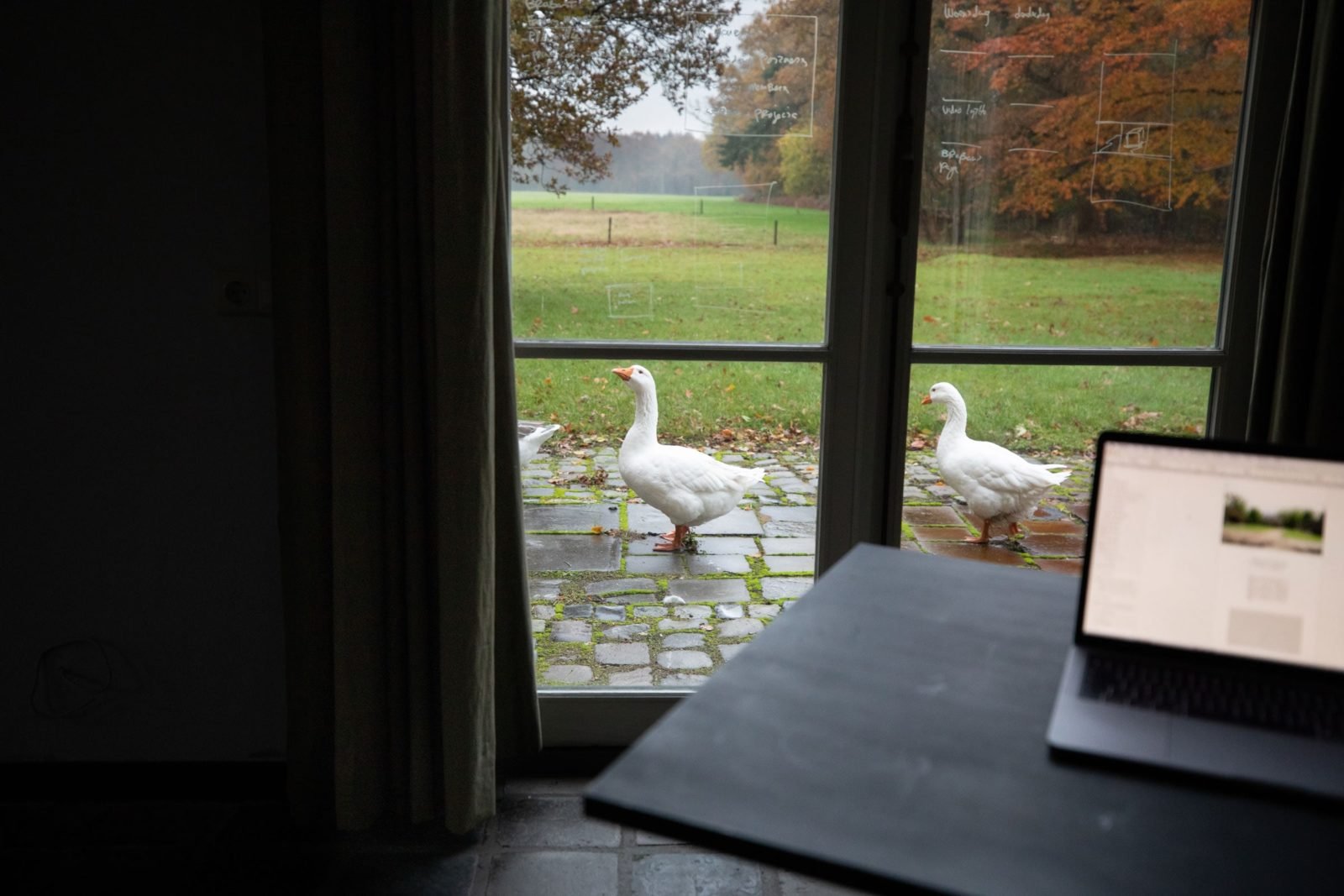 Je m'appelle Brabant