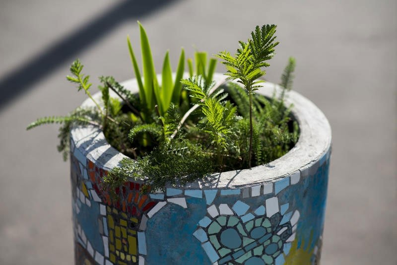 Paris Greenery Permit