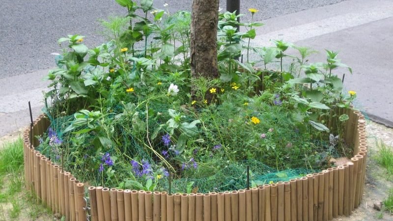 Paris Greenery Permit
